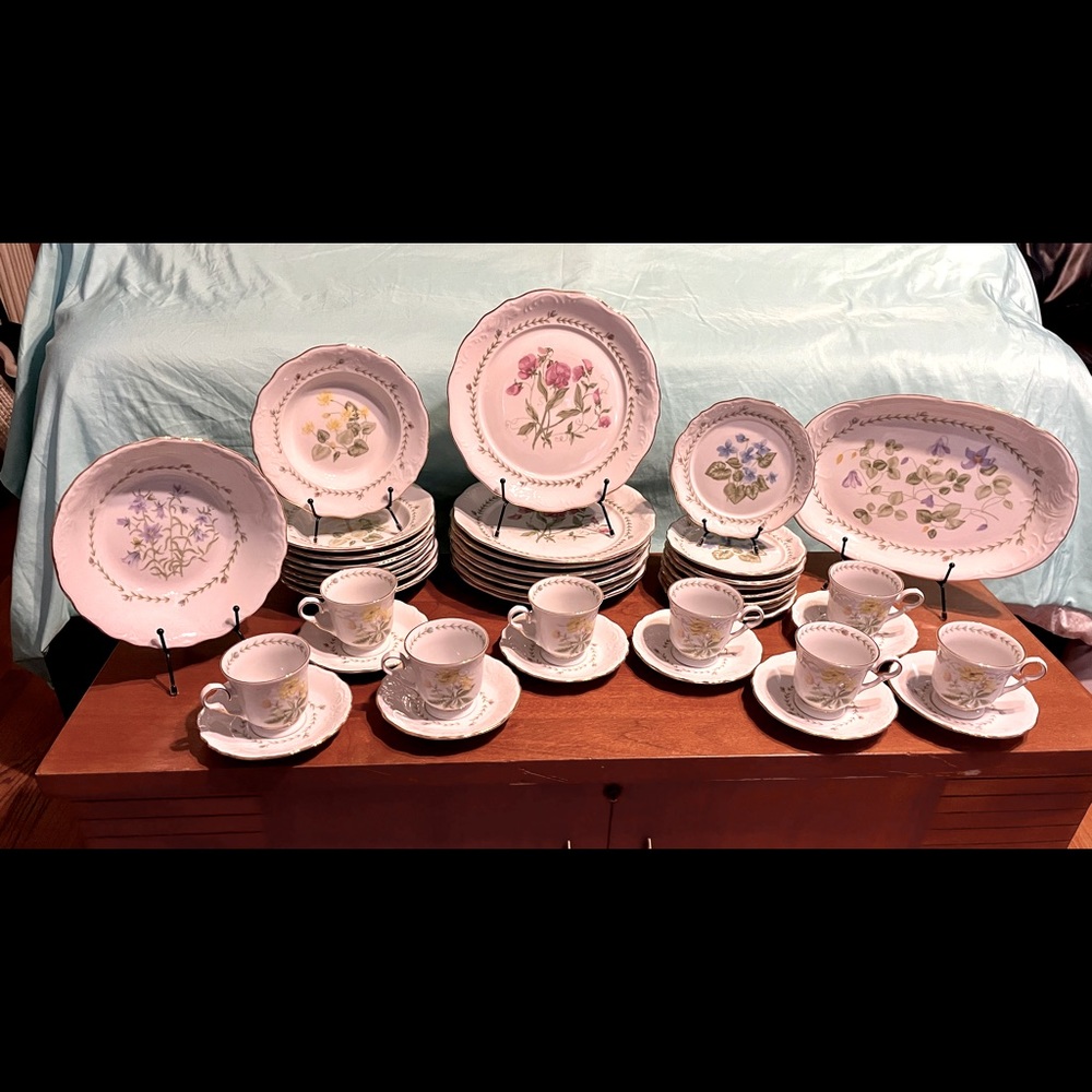 China dishes Floriade by
TIENSHAN